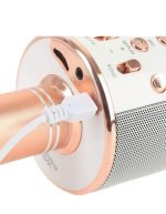 میکروفون اسپیکر مدل WS-858 - تصویر 3