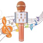 میکروفون اسپیکر مدل WS-858