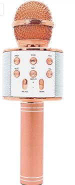 میکروفون اسپیکر مدل WS-858 - تصویر 9