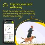 ردیاب و GPS مخصوص سگ و گربه KIPPY - Image 4