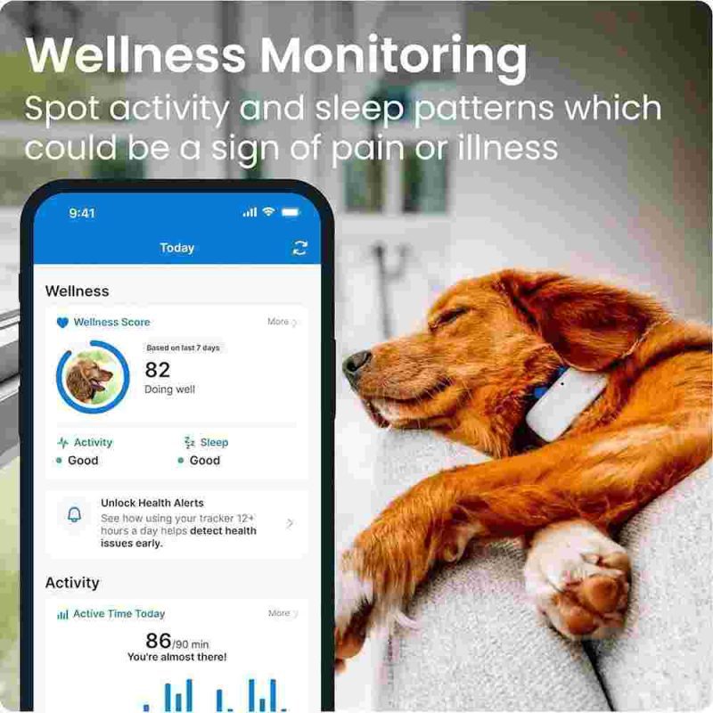 جی پی اس و ردیاب حیوانات خانگی برند tractive   - Image 4