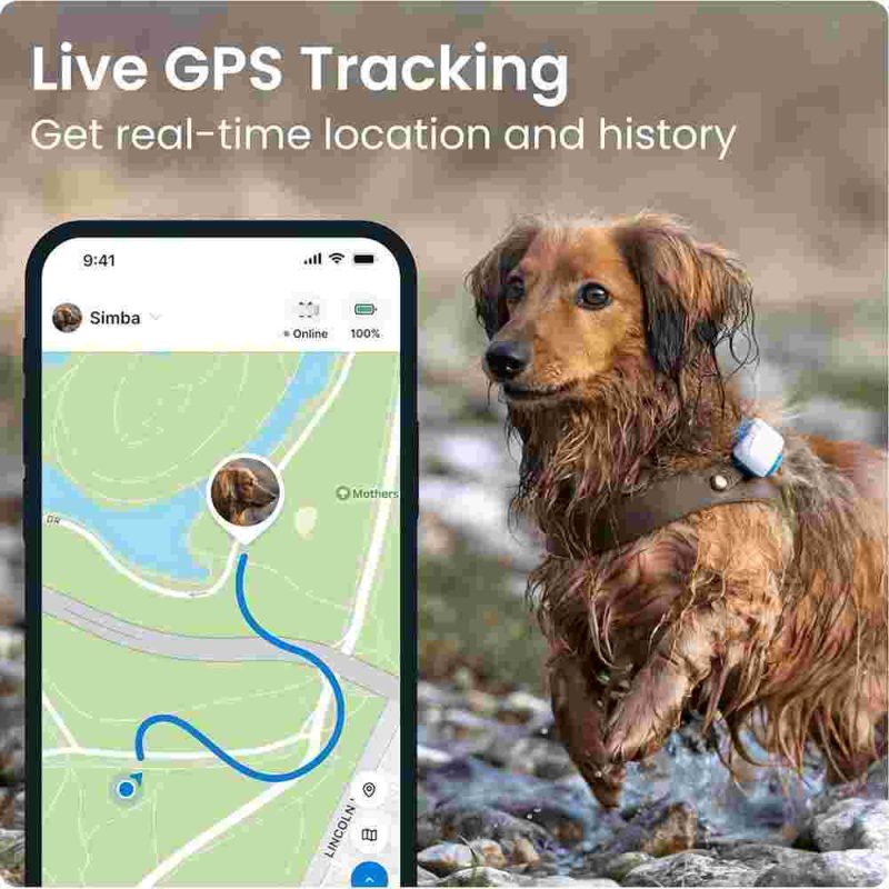 جی پی اس و ردیاب حیوانات خانگی برند tractive   - Image 5