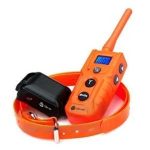قلاده اموزشی سگ  iclever EC-916