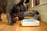ظرف غذای سگ و گربه Sure Petcare - SureFeed ظرفیت 1 لیتری - تصویر 5