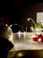 چراغ‌های پری باتری‌دار های‌هیل، چراغ‌های رشته‌ای LED - تصویر 4