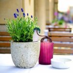 سیستم ابیاری قطره ای مدل ZODSFG بسته 4 عددی - تصویر 10