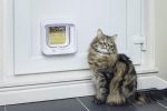 درب هوشمند تردد سگ و گربه فلپ میکروچیپ Sure Petcare SureFlap - Image 4