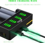 شارژر باتری پیکل پاور Pickle Power 18650 - تصویر 6
