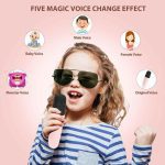 اسپیکر بلوتوثی همراه با دو میکروفون Fede Karaoke - Image 5