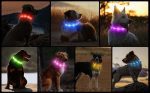 قلاده سگ قابل شارژ درخشان  RGB تغییر رنگ با 8 حالت نور - تصویر 2