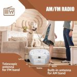 رادیو، سی‌دی ، کاست و اسپیکر بلوتوثی  Retekess TR621 - تصویر 6