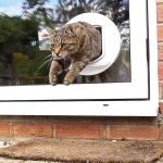 درب تردد سگ و گربه SureFlap Sure Petcare DualScan Microchip - تصویر 5
