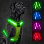 قلاده کتفی سگ FEYCIG  مدل TC3011 با چراغ LED قابل شارژ - تصویر 2