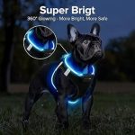 قلاده کتفی سگ FEYCIG  مدل TC3011 با چراغ LED قابل شارژ