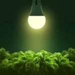 لامپ‌های LED مخصوص رشد گیاهان بسته 2 تایی - Image 2