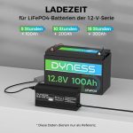 شارژر باتری Dyness 14.6V 20A LiFePO4 - تصویر 4