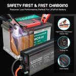 شارژر پر قدرت 12ولت 100 آمپر LiFePO4 14.6V 60A - تصویر 4