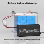 شارژر باتری Dyness 14.6V 20A LiFePO4 - تصویر 8