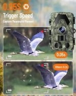 دوربین حیات وحش 5K 60MP  مدل  PR-901 با زاویه دید عریض 115 فوت و 150 درجه - Image 4