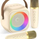 اسپیکر بلوتوثی همراه با دو میکروفون Karaoke K29