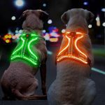 قلاده سگ روشن بدون کشیدن، مهار سگ LED با دسته نرم قابل شارژ، Bpaw T