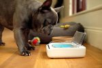 کاسه غذای حیوانات خانگی Sure Petcare SureFeed - Image 7