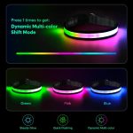 قلاده سگ چراغ‌دار - قلاده سگ LED چند رنگ، USB-C قابل شارژ با نشانگر باتری - Image 2