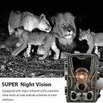 دوربین شکاری حیات وحش مدل HC-801 PRO - تصویر 6